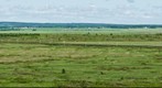 New Brunswick and Nova Scotia Border