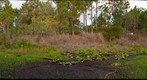 Jensen Beach, Florida