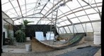 Roots Photos Setup