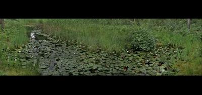 80370-400x189