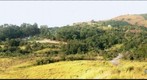 Mogi rural