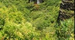 Water Fall - Kauai - Hawaii