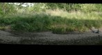 Nine Mile Run, Frick Park, Pittsburgh PA 40' 25' 36·.00 N, 79" 54' 12.38· W