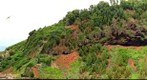 Bird Sanctuary next to light house in Kauai, Hawaii
