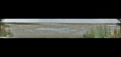 80397-400x189
