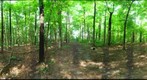 Dairy Bush GigaPan - 95 - June 23 2011