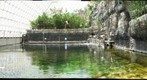 Biosphere 2 | Ocean Biome II, Gigapan. 2011