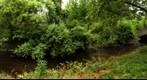 Creek's Edge #2: Stone Bridge-Rock Creek National Park, Washington, DC