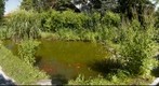 A Pond in Vienna, Austria