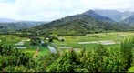 Farming Fields - Kauai - Hawaii