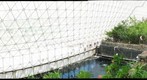 Biosphere 2 | Savannah Biome I, Gigapan. 2011