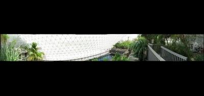 80542-400x189