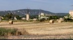 Es Pont d'Inca, Mallorca - (Spain)