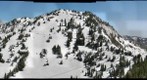 Alta Bark Beetle Survey 2011 - (4) Grizzly Gulch