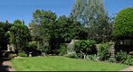 GP119 Garden: Leigh Road , Bristol June 2011 (Cuddly Monkey's natural habitat)