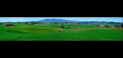 80834-400x189