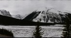Sunwapta Valley, Jasper National Park, Alberta