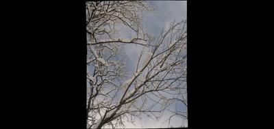 80901-400x189