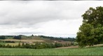 Chehalem Area Oregon