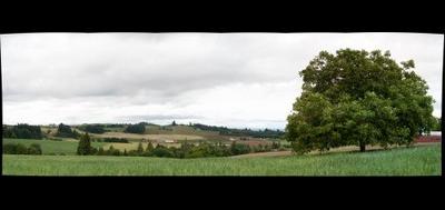 80919-400x189