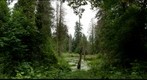 The Watershed