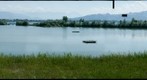 Rheindelta Naturschutzgebiet 