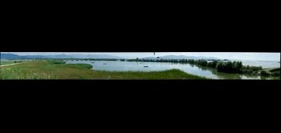 80979-400x189