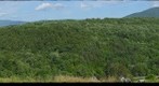 Mount Greylock from Bee Hill, June 30, 2011