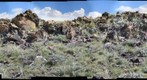 Beaverhead Impact Structure Shattercones