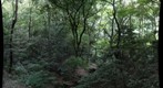 Jingu