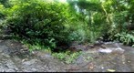Rancho Pacifico Waterfall - Rio Cortezal  - Uvita, Costa Rica