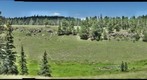 Mountain Meadow 1