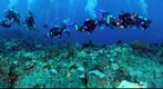 Odyssey Expeditions Students Explore 'Mystery Reef', St. Vincent