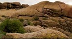Sonoran Desert, Superstition Wilderness, Arizona