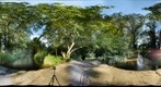 Muellbach_Test