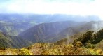 Kapakapanui