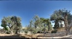 Gethsemane, Mt Olives, Jerusalem, Israel