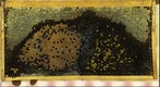 Healthy Bee Frame
