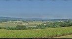 HDR Newberg Vineyard