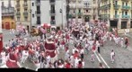 Procesion Sanfermin 2011. Gigantes