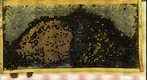 Healthy Bee Frame Day 3