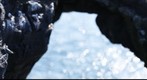 TRIDACTYLES