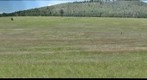 Mountain Meadow 3