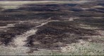  Valles Caldera after the Las Conchas Fire