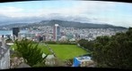 Wellington Central and Te Aro from the Botanical Gardens