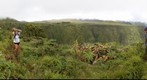 Top of the World at Waipi'o