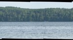 Lake Konekoba, MN  South Shoreline