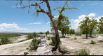 Petit Riviere de L’Artibonite, Fort &amp; Artibonite Valley