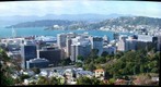 Morning View of Thorndon, Wellington