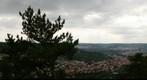 Jena vom Jenzig